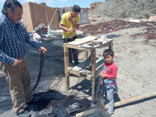 Actividades en el borde costero - Sputnik Mundo