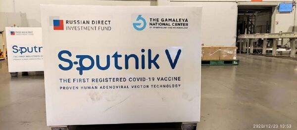 Las primeras 300.000 dosis de la vacuna Sputnik V se cargan en un avión de Aerolíneas Argentinas que llegó a Moscú - Sputnik Mundo