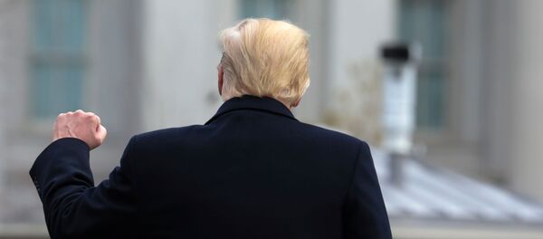 El presidente de EEUU Donald Trump - Sputnik Mundo