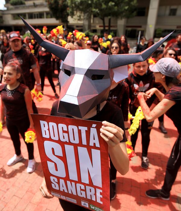 Este animal también es un símbolo no oficial de España y de varios otros países donde todavía se celebran corridas de toros a pesar de las masivas protestas de los defensores de los animales. En la foto: un activista durante una protesta contra las corridas de toros en Bogotá, Colombia, 2020. - Sputnik Mundo