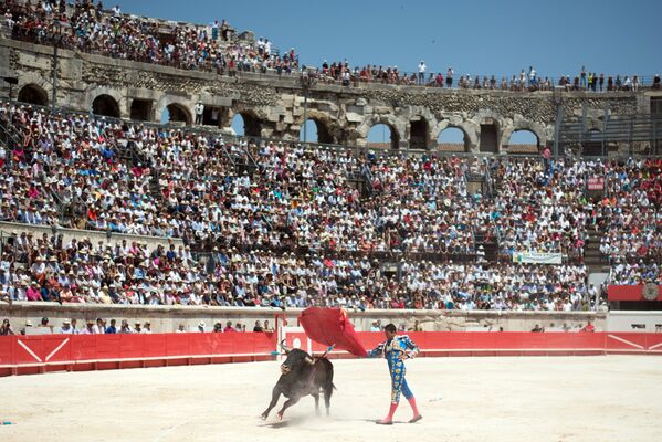 Un torero lidia con el animal durante la feria de Pentecostés de la Tauromaquia en Nimes, Francia, 2014.   - Sputnik Mundo