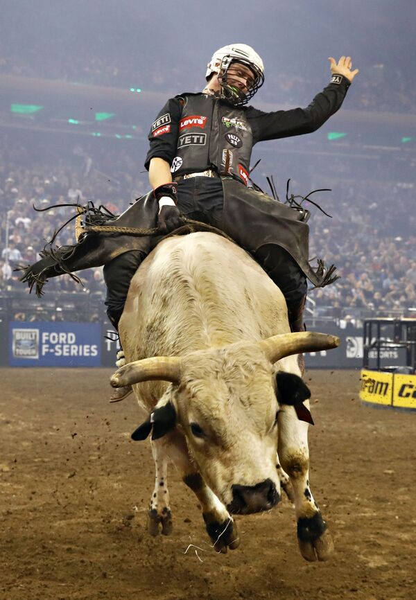 EEUU también tiene sus propias carreras de toros en diferentes estados. En la foto: Un participante en el Monster Energy Buck Off de los Bull Riders Profesionales en el Madison Square Garden en Nueva York, 2020. - Sputnik Mundo