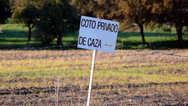 Imagen de un coto de caza en España (referencial) - Sputnik Mundo