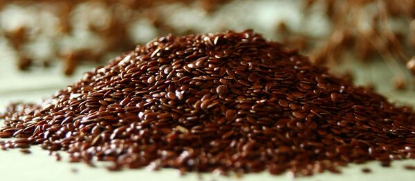 Semillas de lino - Sputnik Mundo