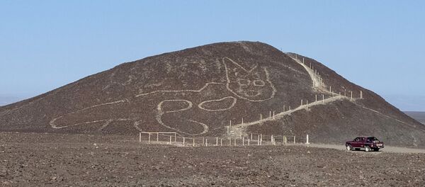 Геоглиф кошки возрастом более 2000 лет на плато Наска в Перу - Sputnik Mundo