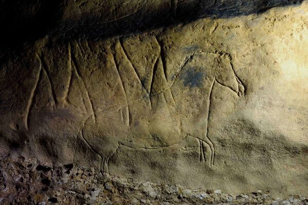 En la cueva catalana de Font Major, cerca de la localidad de L'Espluga de Francolí, los arqueólogos descubrieron más de cien dibujos de la Edad de Piedra. La mayoría de ellos son abstractos, pero aproximadamente 40 representan animales que alguna vez habían habitado los alrededores: ciervos, caballos y toros.  - Sputnik Mundo