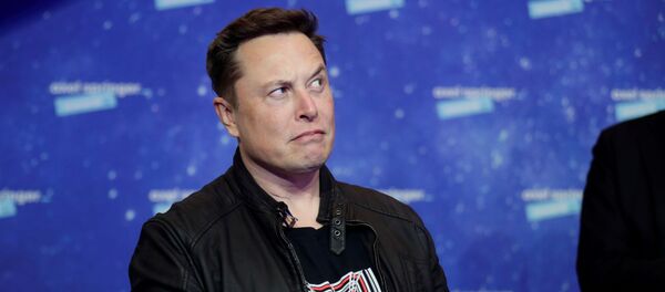 Elon Musk, director general de Tesla - Sputnik Mundo