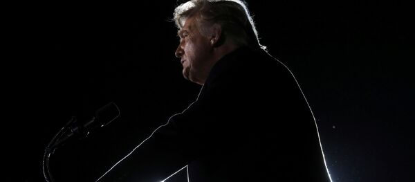 Donald Trump, presidente de EEUU - Sputnik Mundo