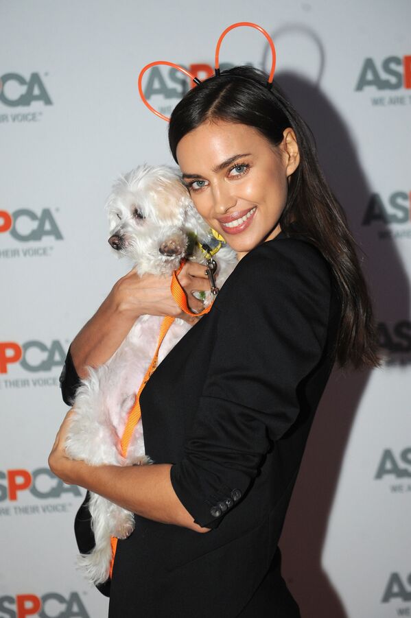 También Shayk se dedica a las obras benéficas. Cada día trata de hacer algo bueno. Shayk es embajadora oficial de la fundación Help Me, ayuda a su ciudad natal de Yemanzhelinsk y cuida un centro de acogida para perros en Nueva York. En la foto: la supermodelo atiende a  la gala benéfica ASPCA Young Friends Benefit en Nueva York. - Sputnik Mundo