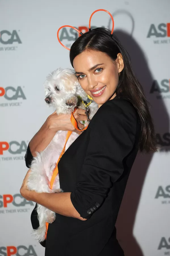 También Shayk se dedica a las obras benéficas. Cada día trata de hacer algo bueno. Shayk es embajadora oficial de la fundación Help Me, ayuda a su ciudad natal de Yemanzhelinsk y cuida un centro de acogida para perros en Nueva York. En la foto: la supermodelo atiende a la gala benéfica ASPCA Young Friends Benefit en Nueva York. También Shayk se dedica a las obras benéficas. Cada día trata de hacer algo bueno. Shayk es embajadora oficial de la fundación Help Me, ayuda a su ciudad natal de Yemanzhelinsk y cuida un centro de acogida para perros en Nueva York. En la foto: la supermodelo atiende a la gala benéfica ASPCA Young Friends Benefit en Nueva York. - Sputnik Mundo