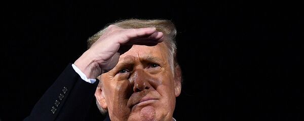 Donald Trump, presidente de EEUU - Sputnik Mundo