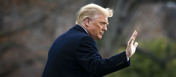 Donald Trump, presidente de EEUU - Sputnik Mundo