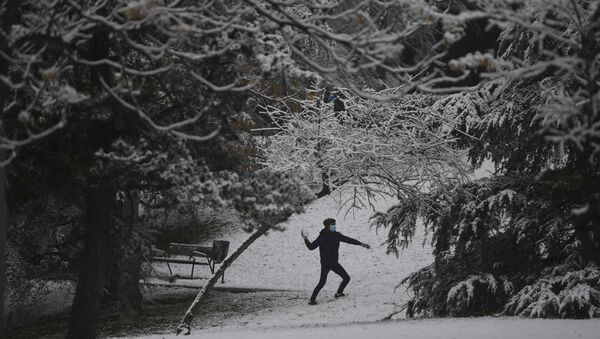 Nieve en Madrid al comienzo del año 2021 - Sputnik Mundo