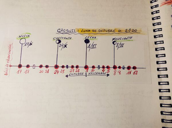 Esquema de predicción de Antonio Baquero - Sputnik Mundo