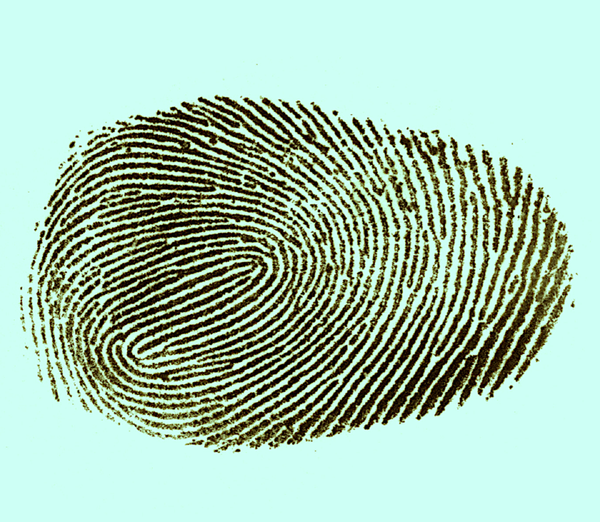 Patrón de huellas dactilares - Sputnik Mundo
