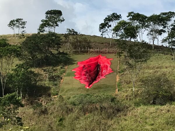 Diva, la obra de Juliana Notari Diva, la obra de Juliana Notari - Sputnik Mundo