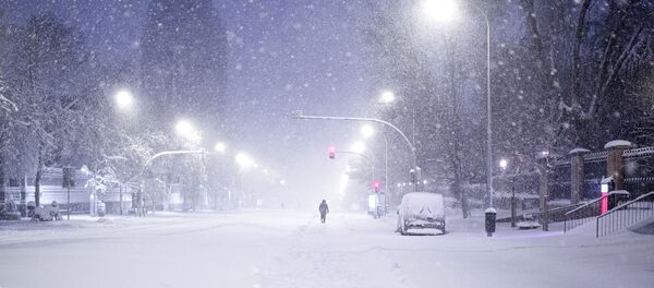 Caminante en medio de la borrasca Filomena en Madrid - Sputnik Mundo