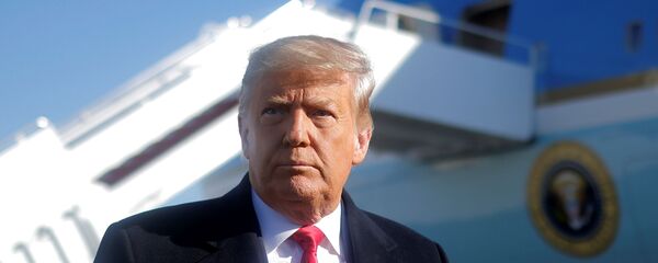 Donald Trump, presidente de EEUU - Sputnik Mundo