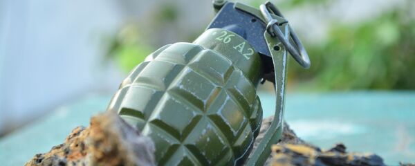 Una granada de mano (referencial) - Sputnik Mundo