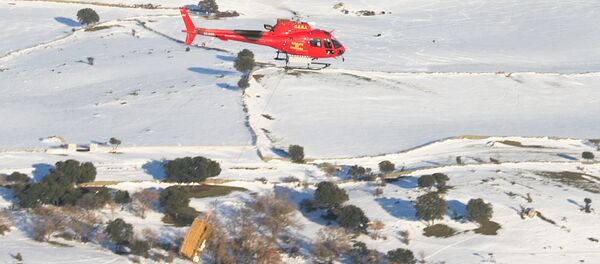 Bomberos de la Comunidad de Madrid lanzan comida desde el helicóptero - Sputnik Mundo