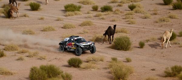 Dakar 2021 (imagen referencial) - Sputnik Mundo