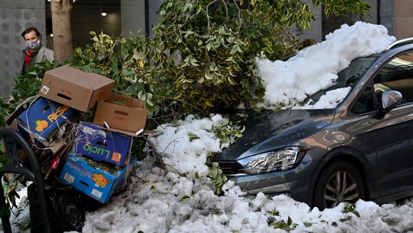 Coches y árboles destrozados a consecuencia del temporal en Madrid - Sputnik Mundo