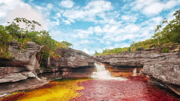 Caño Cristales, Meta, Colombia - Sputnik Mundo