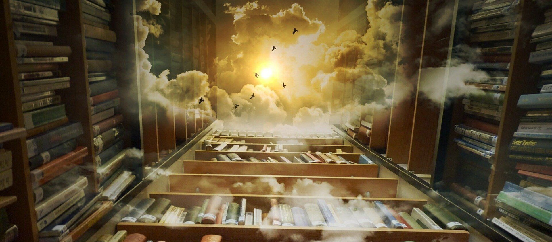 Biblioteca infinita  - Sputnik Mundo, 1920, 20.01.2021