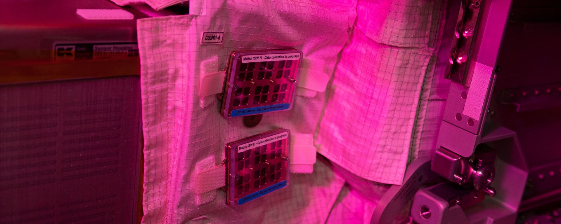 El experimento MatISS, a bordo de la Estación Espacial Internacional El experimento MatISS, a bordo de la Estación Espacial Internacional - Sputnik Mundo, 1920, 25.01.2021