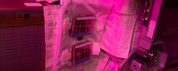 El experimento MatISS, a bordo de la Estación Espacial Internacional - Sputnik Mundo