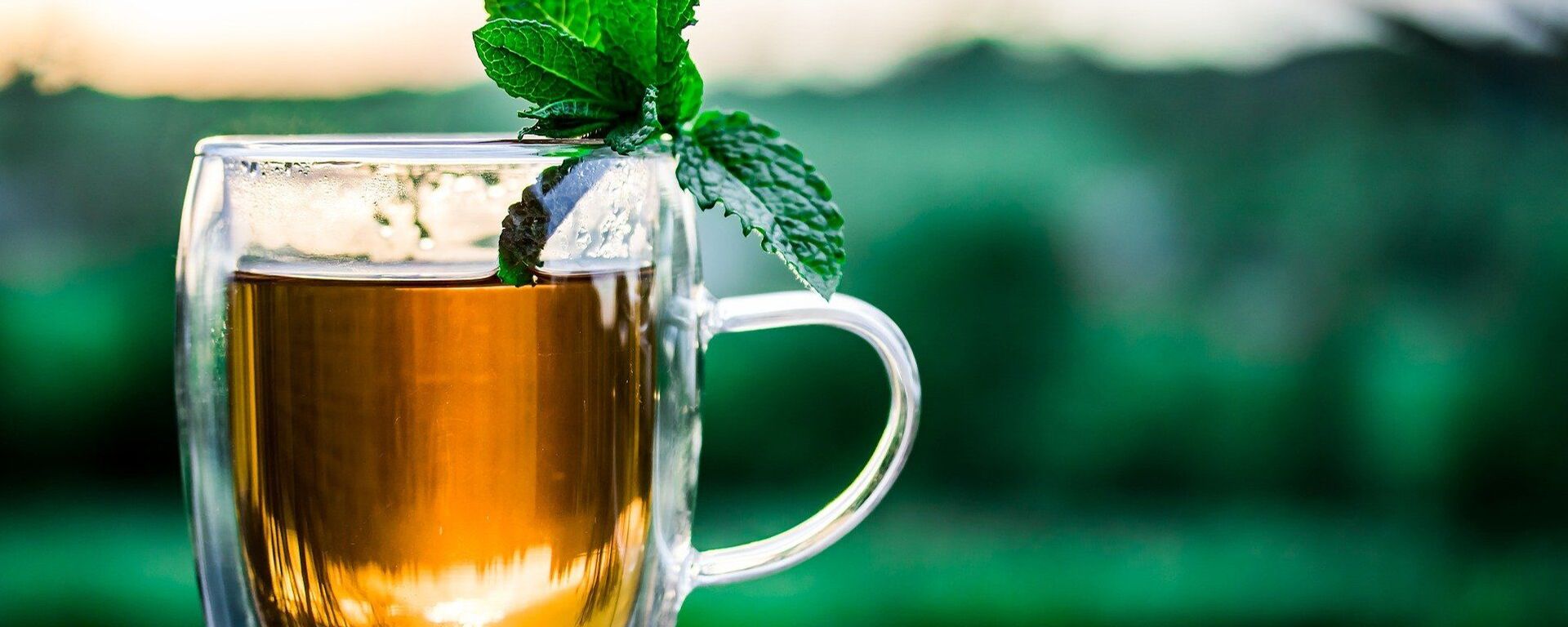 Un té de menta - Sputnik Mundo, 1920, 26.01.2021