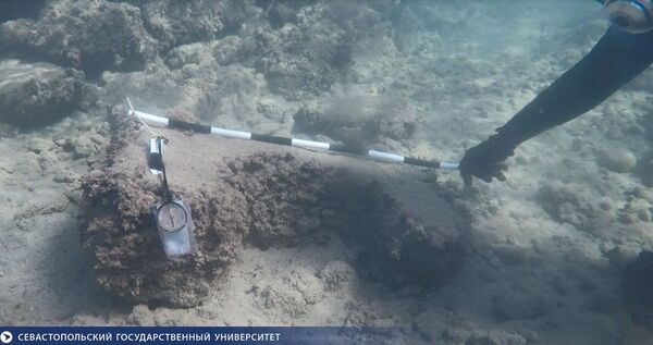 Los buzos están explorando la costa siria - Sputnik Mundo