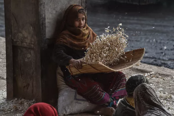 Una niña pela ajos en el mercado de Lahore, en Pakistán. Una niña pela ajos en el mercado de Lahore, en Pakistán. - Sputnik Mundo