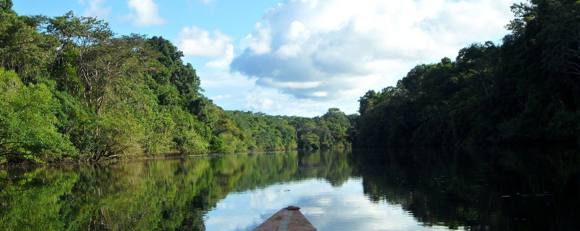 Reserva Nacional Pacaya Samiria - Sputnik Mundo, 1920, 23.05.2022