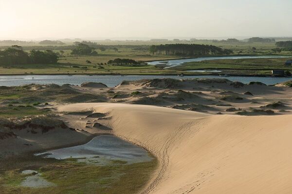 Los Bañados del Este y Franja Costera de los departamentos Rocha, Treinta y Tres y Cerro Largo de Uruguay, fueron los segundos humedales en ser incluidos en la lista Ramsar de Humedales, el 22 de mayo de 1984. Se trata de un área protegida instituida por la UNESCO en 1976 que abarca más de 12.500 km². Más del 90% de la superficie de la reserva son tierras privadas. - Sputnik Mundo