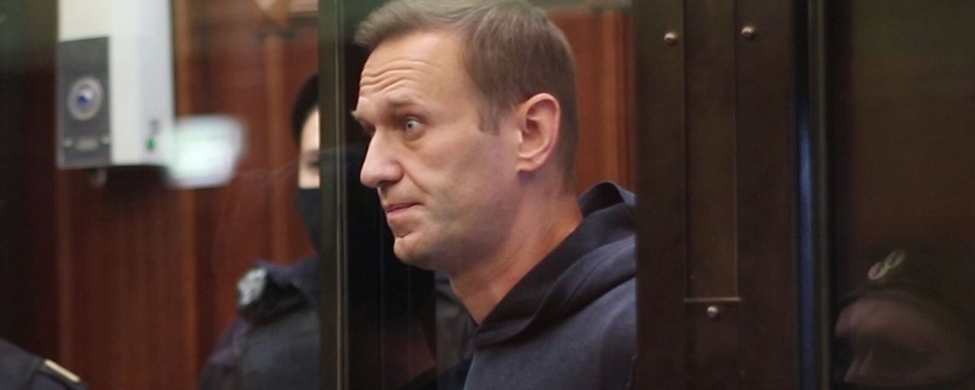 El bloguero opositor ruso, Alexéi Navalni - Sputnik Mundo, 1920, 05.02.2021