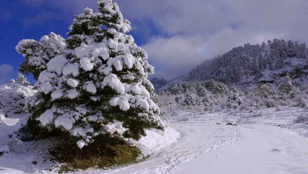 La Sierra de las Nieves  - Sputnik Mundo