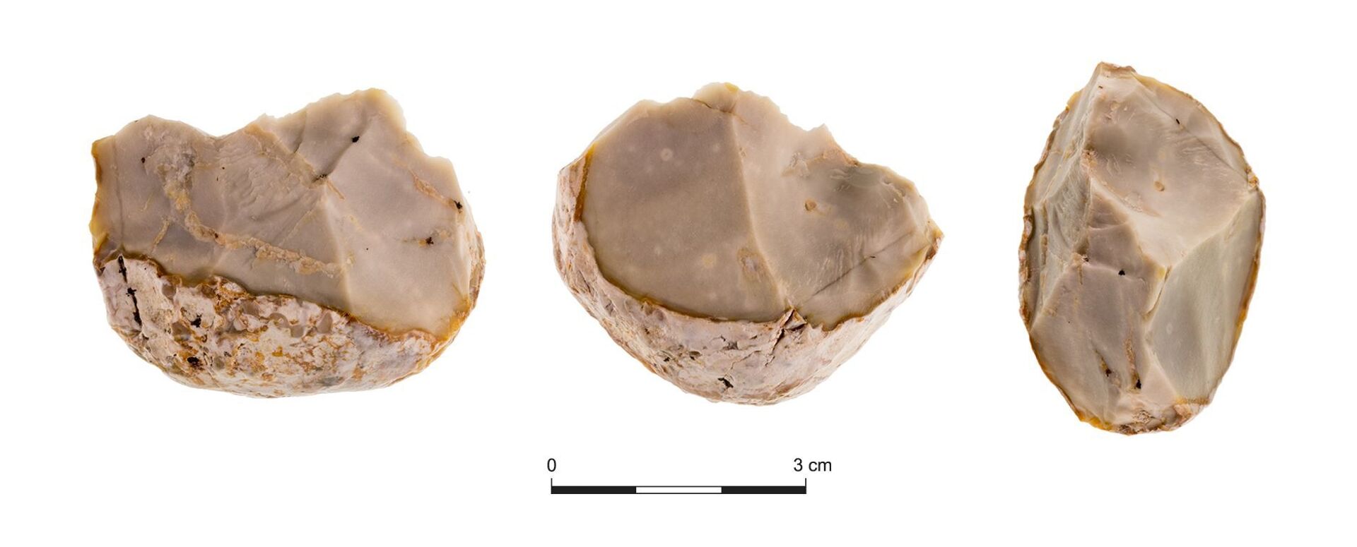 Una herramienta para cortar el hueso  - Sputnik Mundo, 1920, 11.02.2021