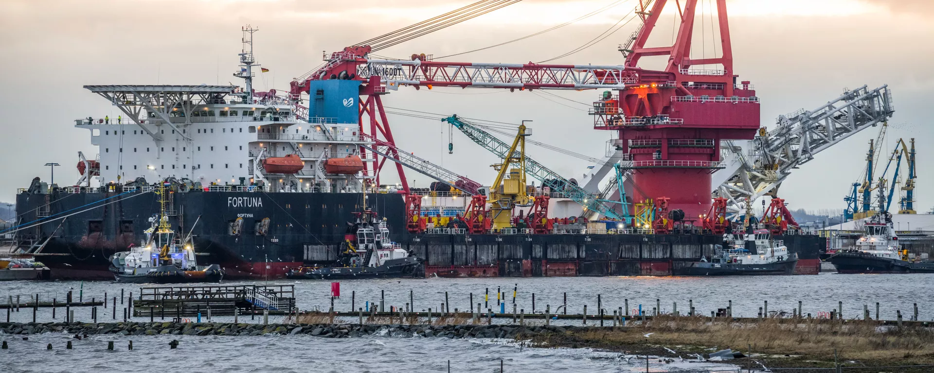 El buque Fortuna que tiende tuberías del gasoducto Nord Stream 2 El buque Fortuna que tiende tuberías del gasoducto Nord Stream 2 - Sputnik Mundo, 1920, 15.02.2021