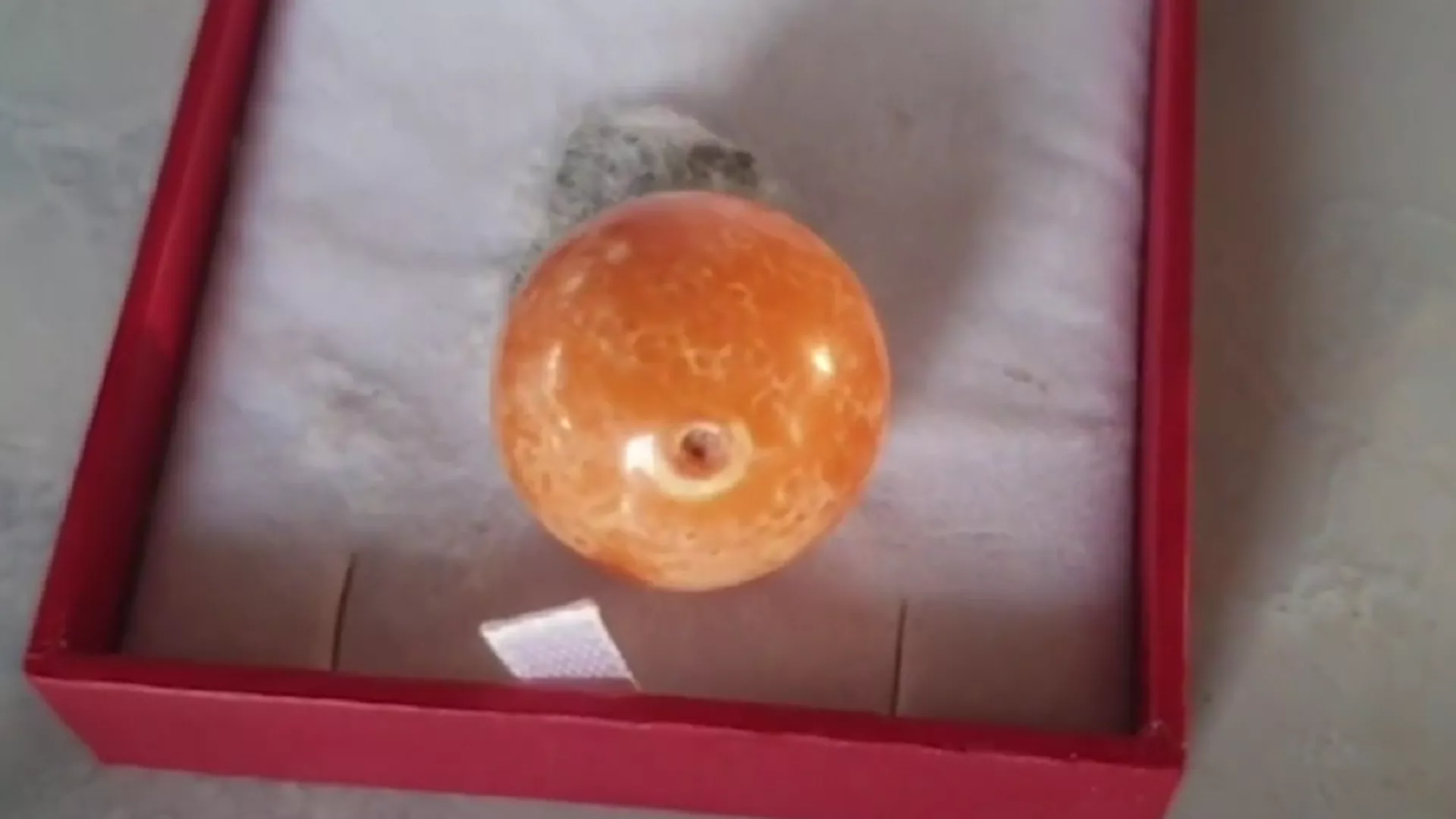 Un rara perla naranja, encontrada en Tailandia por unos pescadores