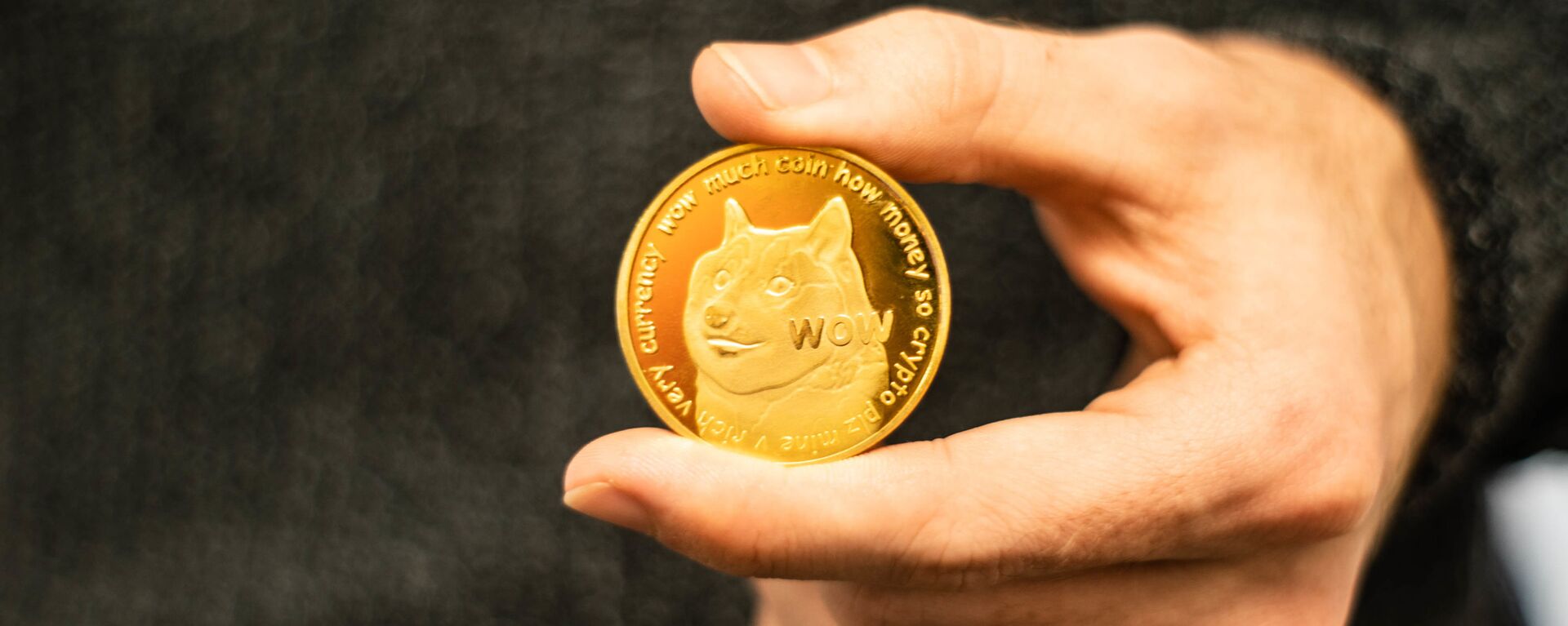 Un prototipo de dogecoin - Sputnik Mundo, 1920, 28.04.2021