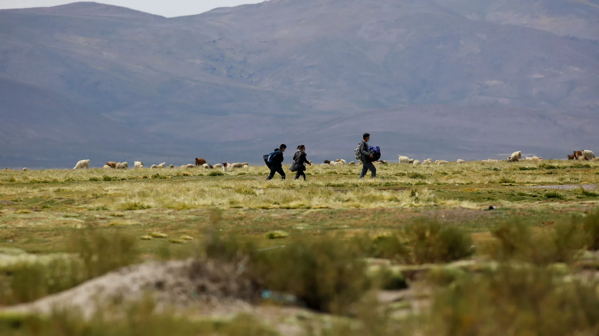 Migrantes en la frontera entre Chile y Bolivia