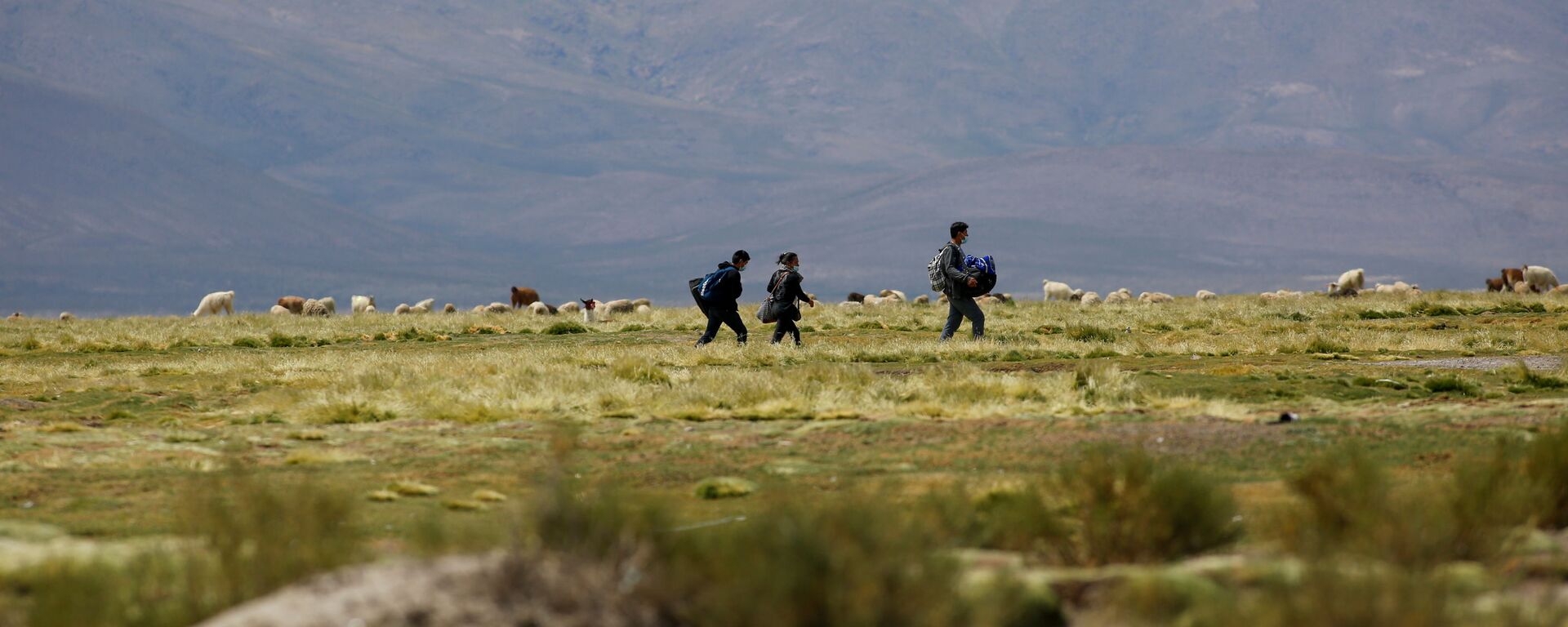 Migrantes en la frontera entre Chile y Bolivia - Sputnik Mundo, 1920, 09.02.2021