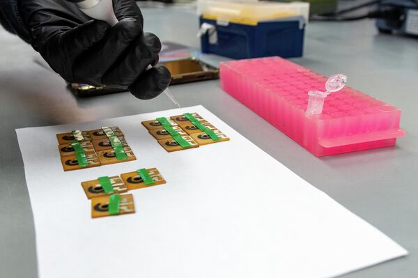 Su test tiene un coste de cuatro euros - Sputnik Mundo