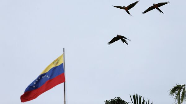 La bandera de Venezuela - Sputnik Mundo