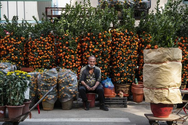 En Hong Kong, las autoridades locales no eliminaron las restricciones: es necesario respetar la distancia, y los restaurantes no atienden a los visitantes después de las seis de la tarde. En la foto: un mercadillo de flores durante los preparativos para el próximo Año Nuevo chino en Hong Kong. - Sputnik Mundo