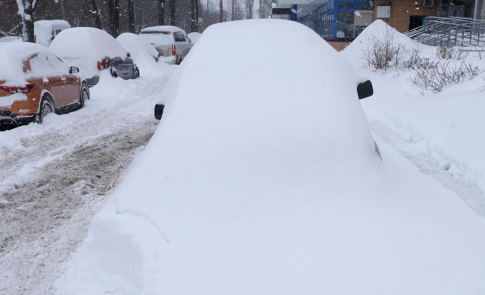 Nevada en Moscú - Sputnik Mundo, 1920, 13.02.2021