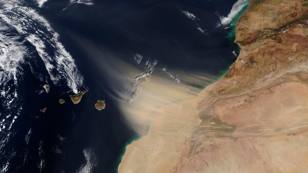 Calima de las Islas Canarias en 2020 - Sputnik Mundo
