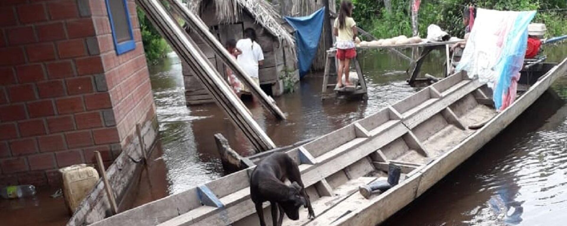 Inundaciones en Bolivia - Sputnik Mundo, 1920, 17.02.2021