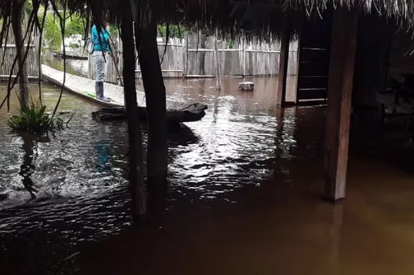 Inundaciones en Bolivia Inundaciones en Bolivia - Sputnik Mundo